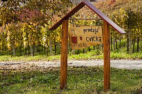 Vineyard cottage Ucman