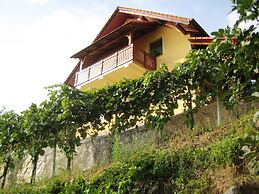 Vineyard cottage Ucman