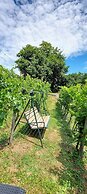 Vineyard cottage Verček