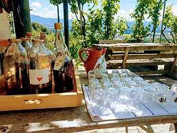 Vineyard cottage Verček