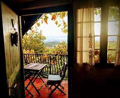 Vineyard cottage Verček