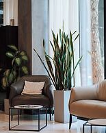 VM Resort & SPA