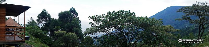 Reserva Tororoi