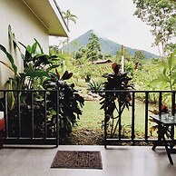Yellow Tree Suites