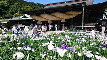 Hotel Torifito Hakata Gion