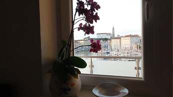 Apartment Fredi