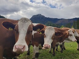 MOAR Sommerauer