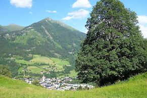 Biohof Maurachgut