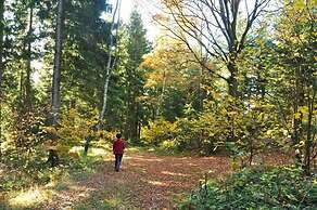 Mittereibenberger