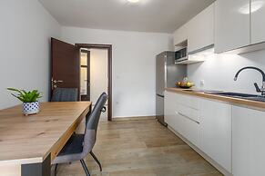 Comfort apartments with pool in Medulin