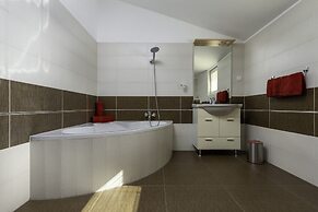 Comfort apartments with pool in Medulin