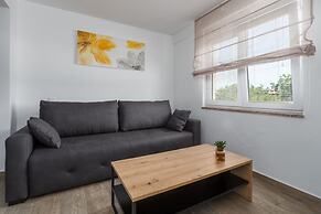 Comfort apartments with pool in Medulin