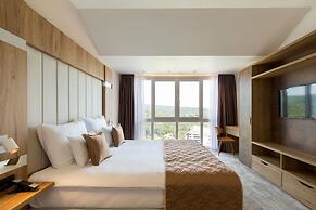 Mövenpick Resort and Spa Fruske Terme