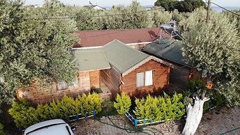 Concept Bungalow
