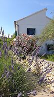 Detached House Miketa