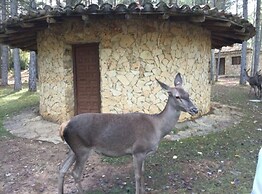 Rural House Las Cerrs