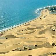 Canoa Palmera Oasis 2