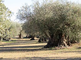 Self Catering Can Cabano for 8 People