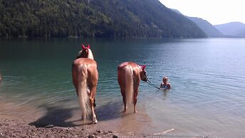 Ferienhof Obergasser & Pension Bergblick