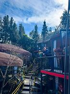 Plum Hillside Lodge
