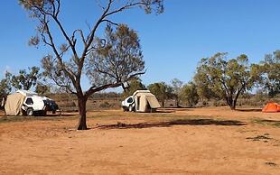 Mungo Roo