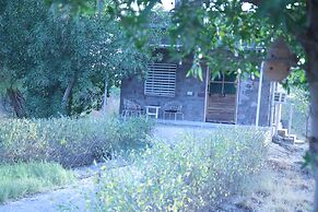 Jawai Bera Leopard Camp