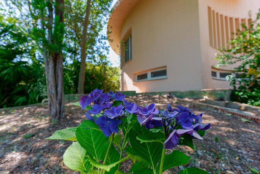 B&B Villa Zola