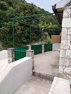 House Cvitina