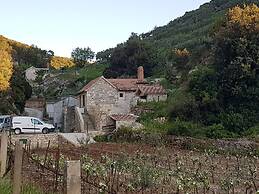 House Cvitina