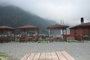 Anemo Suite