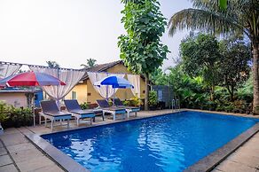 Aaria Hills