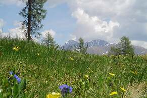 Rasterhof
