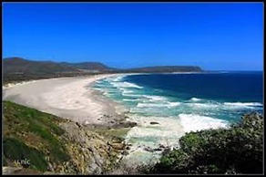 Bermuda Capri Cape Town