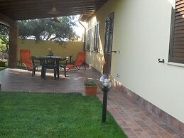 House Surrounded by Olive Trees