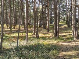 4 Person Holiday Home in Ellos