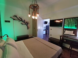 xDream Suite II
