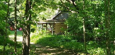 Circa 1850 Settlers Cabin