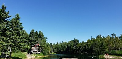 Rustic Beach House
