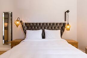 Acanthus blue