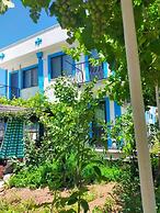 Zeytin Cicegi Pansiyon