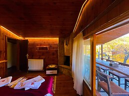 Paradise Plus Agva
