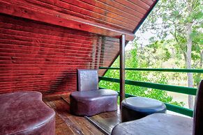 Paradise Plus Agva