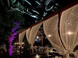 Paradise Plus Agva