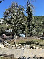 Paradise Plus Agva