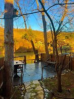 Paradise Plus Agva