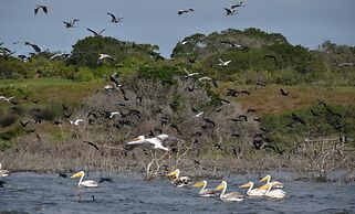 De Hoop Campsite Rondawels