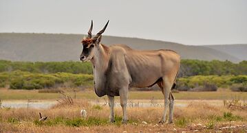 De Hoop Campsite Rondawels