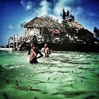 Modern Beach House, Excellent Beachfront, Private Chef, Pool