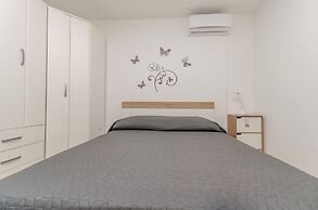 Apartments Anita Summer