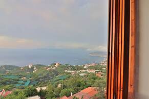 Belvedere Apt